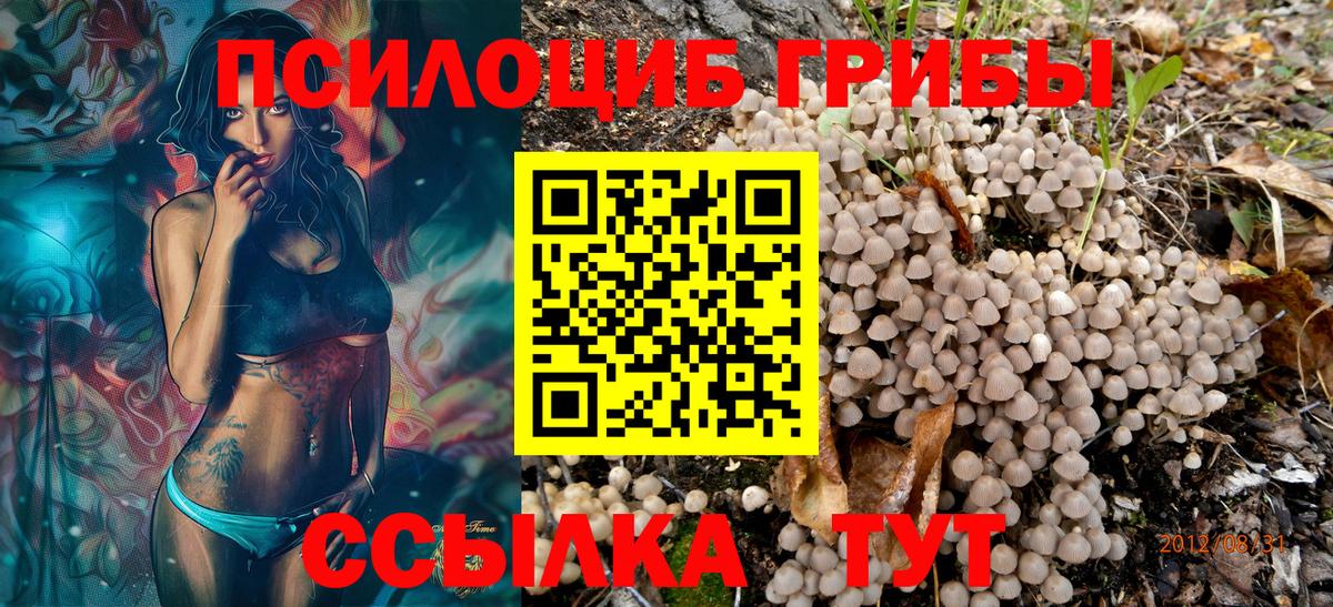 Псилоцибиновые грибы Magic Shrooms  Вход с VPN  закладки  Можга 