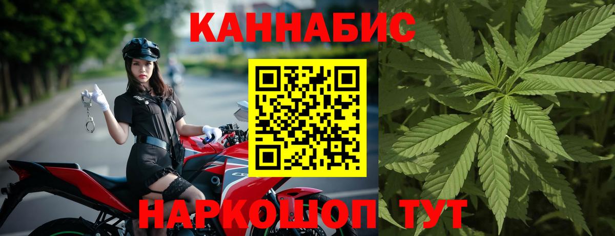 Бошки Шишки семена Можга
